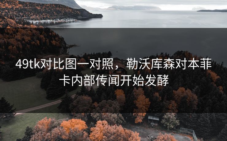 49tk对比图一对照，勒沃库森对本菲卡内部传闻开始发酵