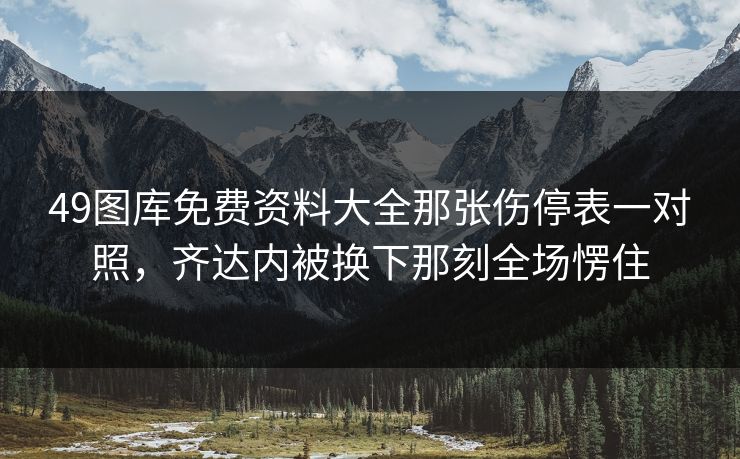 49图库免费资料大全那张伤停表一对照,齐达内被换下那刻全场愣住