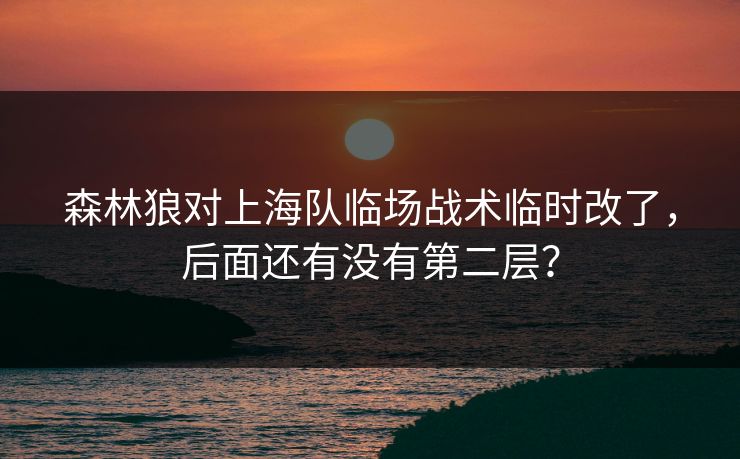 森林狼对上海队临场战术临时改了，后面还有没有第二层？