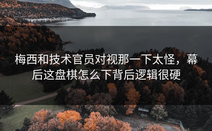 梅西和技术官员对视那一下太怪，幕后这盘棋怎么下背后逻辑很硬
