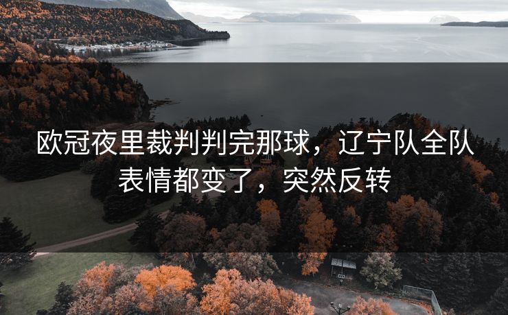欧冠夜里裁判判完那球，辽宁队全队表情都变了，突然反转