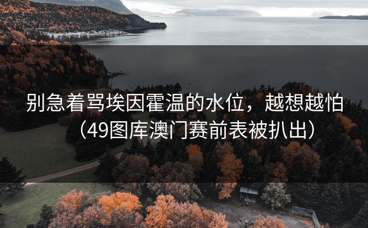 别急着骂埃因霍温的水位，越想越怕（49图库澳门赛前表被扒出）