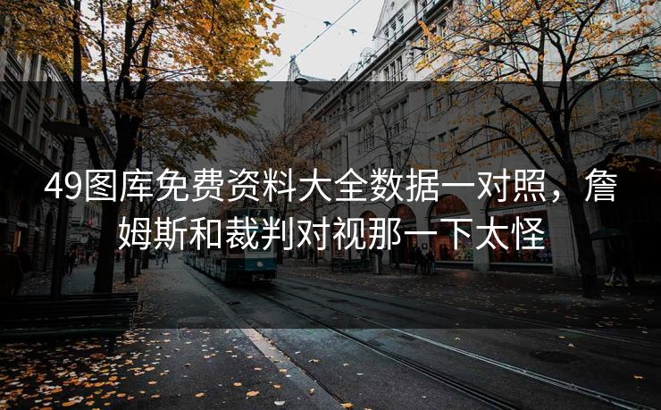 49图库免费资料大全数据一对照，詹姆斯和裁判对视那一下太怪